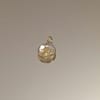 Médaille Tortue - Transparente