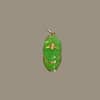 Médaille Ovale Abeille - Verte Pomme – Image 3