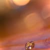 Bague abeille taille 54 – Image 2
