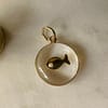 Médaille « S » poisson transparent