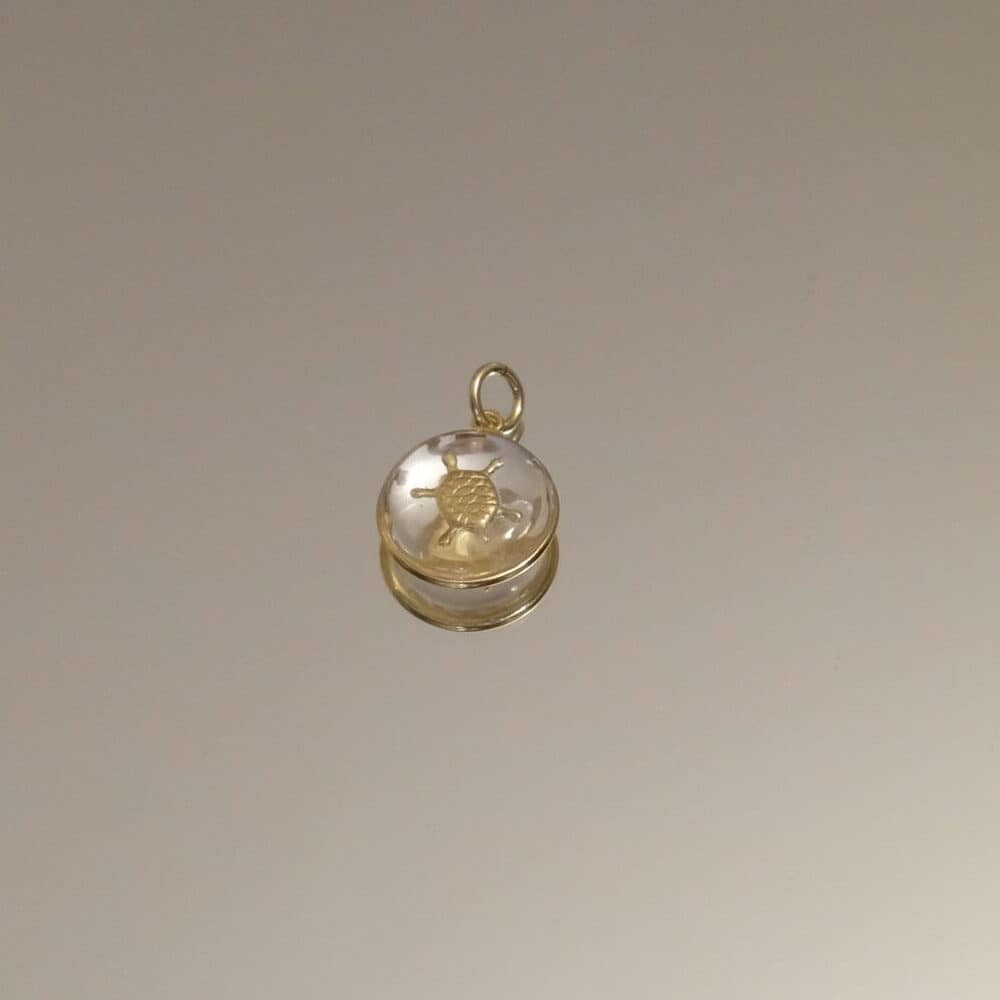 Médaille Tortue - Transparente
