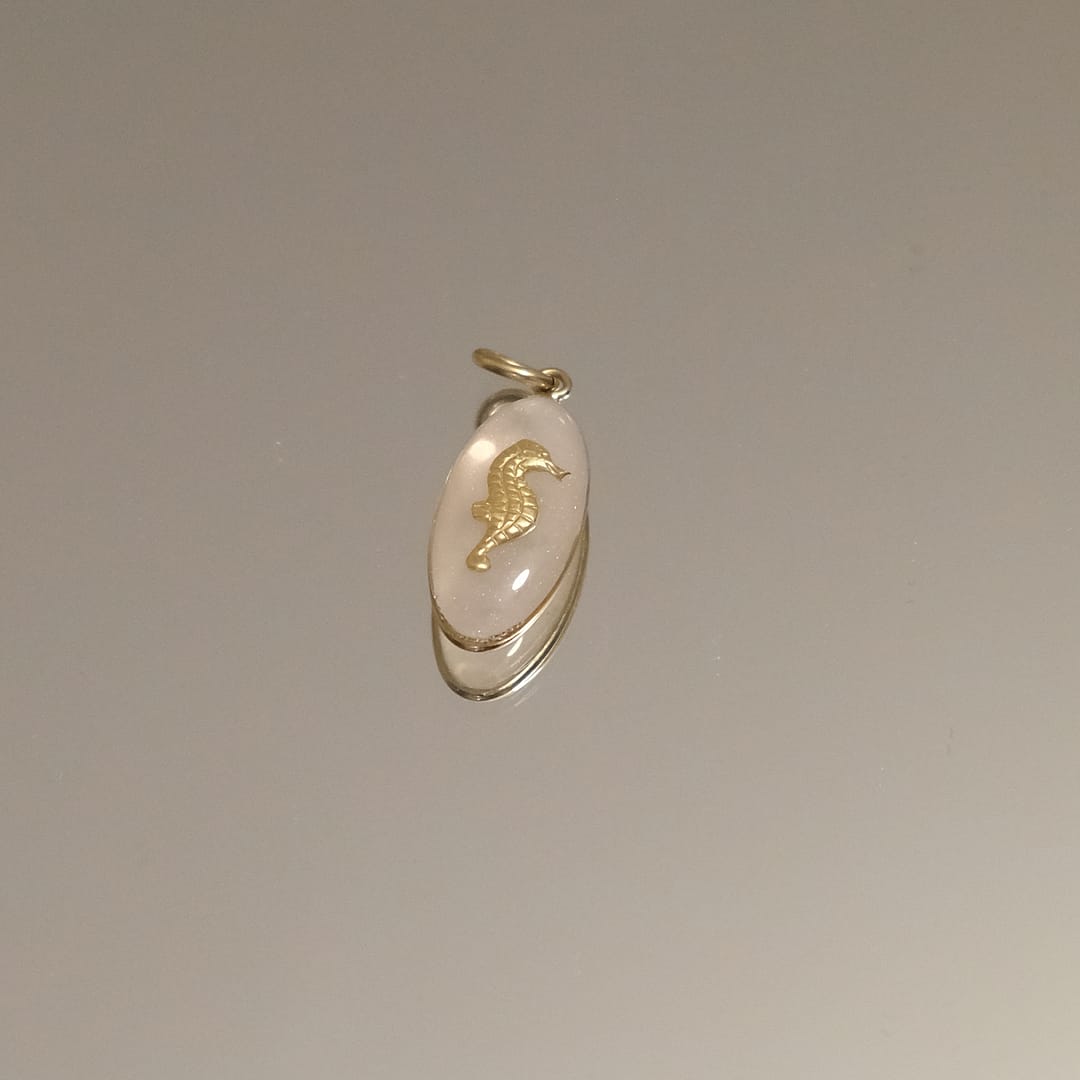 médaille ovale hippocampe