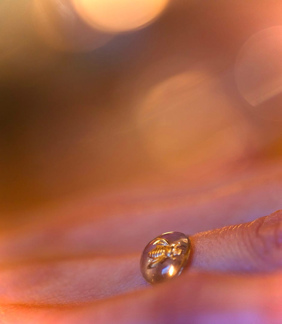 Bague abeille taille 54 – Image 2